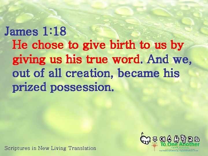 James 1: 18 He chose to give birth to us by giving us his