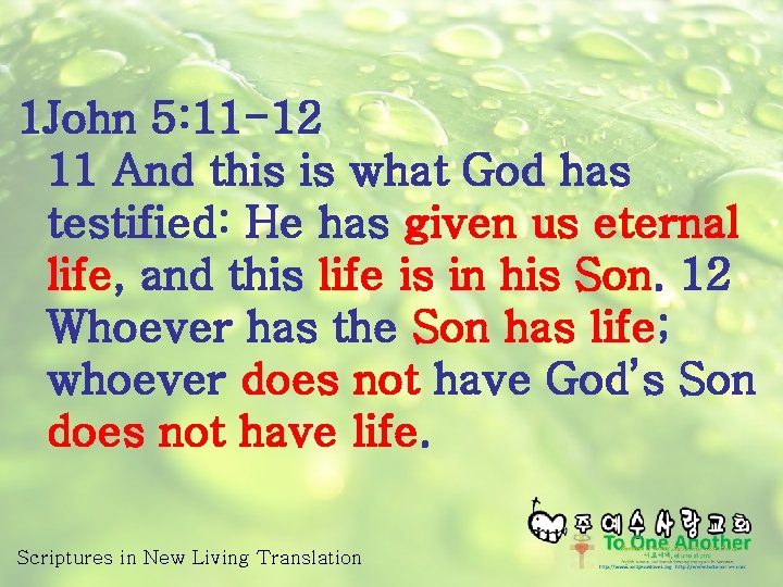 1 John 5: 11 -12 11 And this is what God has testified: He