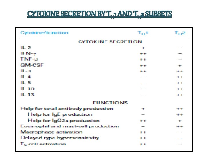 CYTOKINE SECRETION BY TH 1 AND TH 2 SUBSETS 