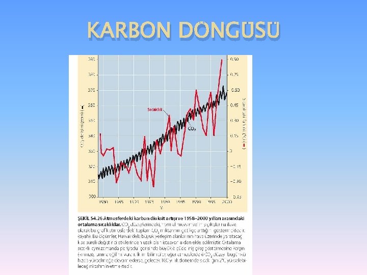 KARBON DÖNGÜSÜ 