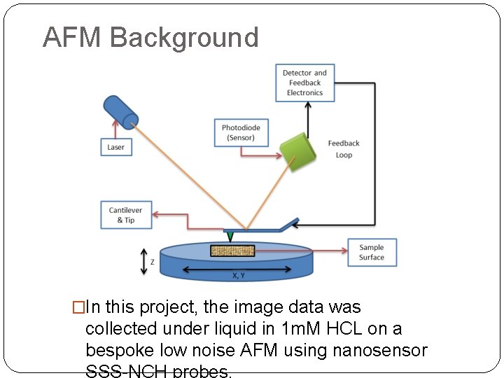 AFM Background �In this project, the image data was collected under liquid in 1