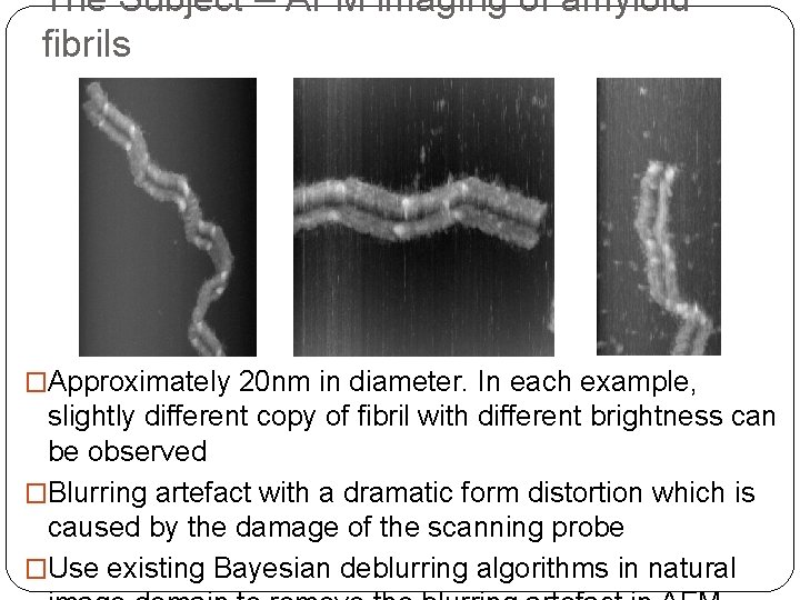 The Subject – AFM imaging of amyloid fibrils �Approximately 20 nm in diameter. In