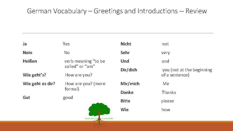 German Vocabulary – Greetings and Introductions -- Review Ja Yes Nicht not Nein No