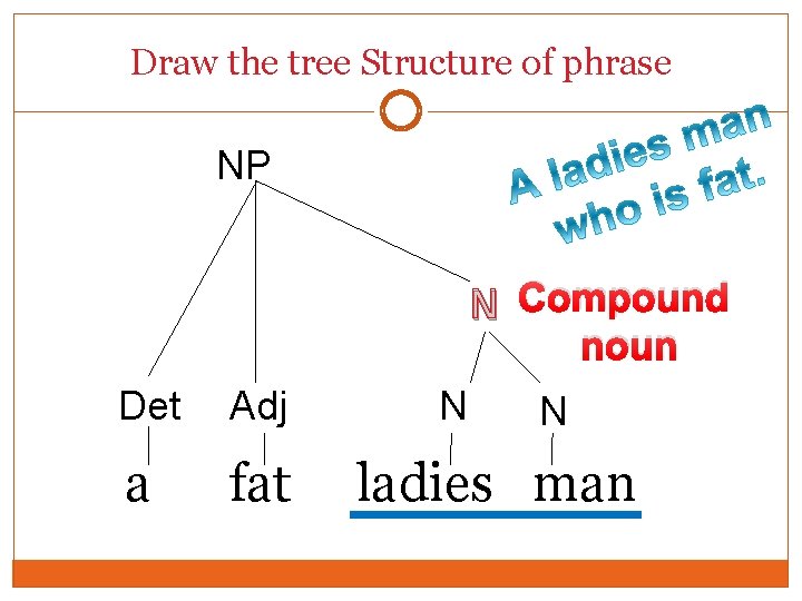 Draw the tree Structure of phrase NP N Compound noun Det Adj a fat