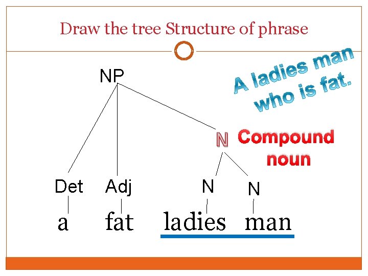 Draw the tree Structure of phrase NP N Compound noun Det Adj a fat Draw the tree Structure of phrase NP N Compound noun Det Adj a fat
