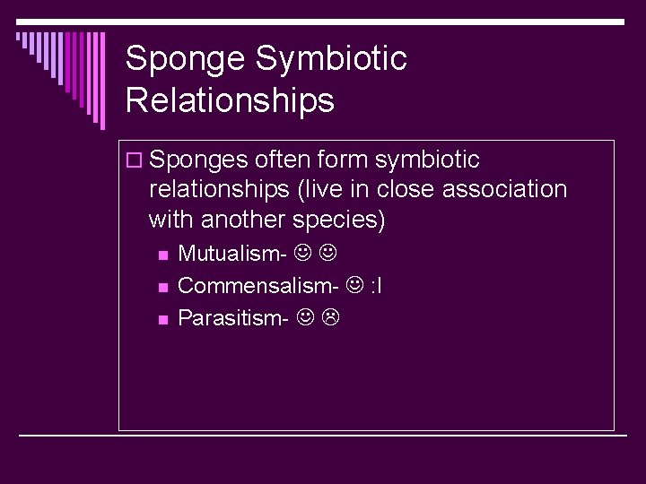 Sponge Symbiotic Relationships o Sponges often form symbiotic relationships (live in close association with