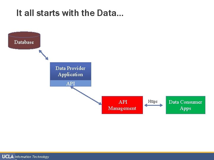 It all starts with the Data… Database Data Provider Application API Management Information Technology