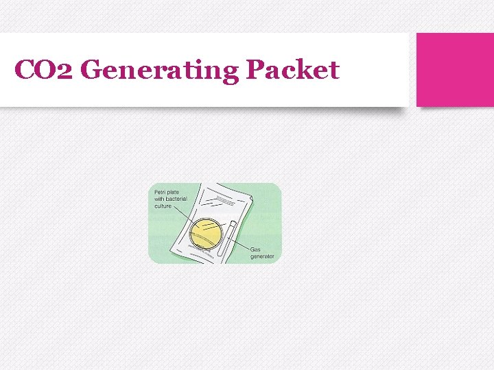 CO 2 Generating Packet 