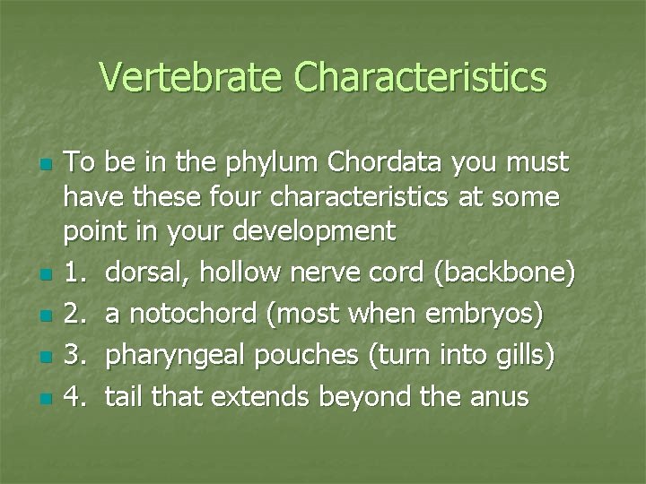 Vertebrate Characteristics n n n To be in the phylum Chordata you must have