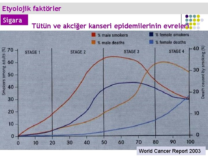 Etyolojik faktörler Sigara Tütün ve akciğer kanseri epidemilerinin evreleri World Cancer Report 2003 