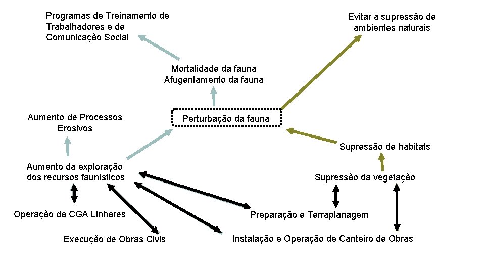 Programas de Treinamento de Trabalhadores e de Comunicação Social Evitar a supressão de ambientes