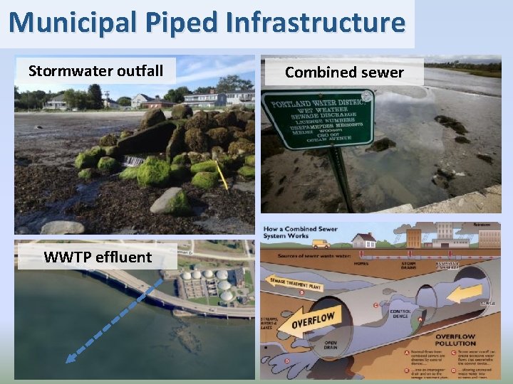 Municipal Piped Infrastructure Stormwater outfall WWTP effluent Combined sewer 