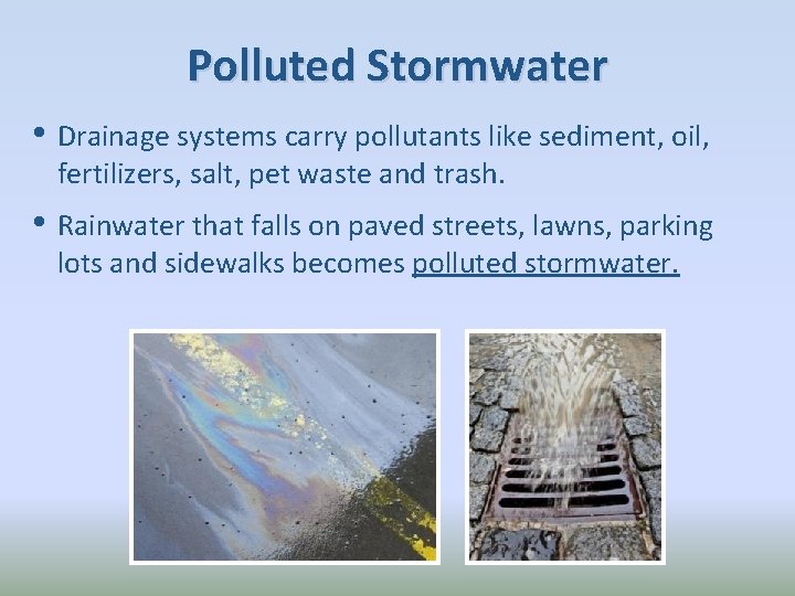 Polluted Stormwater • Drainage systems carry pollutants like sediment, oil, fertilizers, salt, pet waste