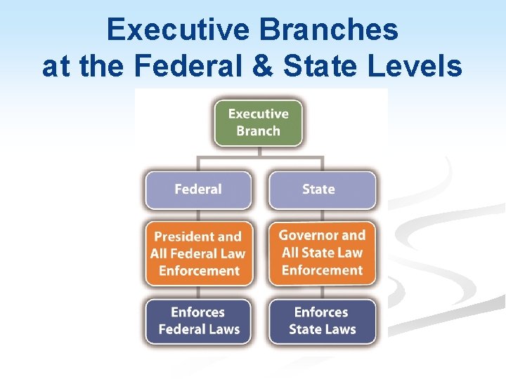 Executive Branches at the Federal & State Levels 