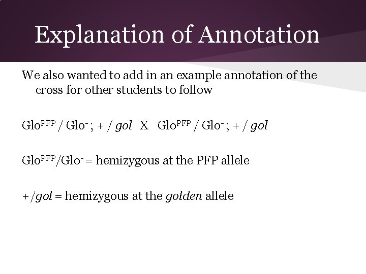 Explanation of Annotation We also wanted to add in an example annotation of the