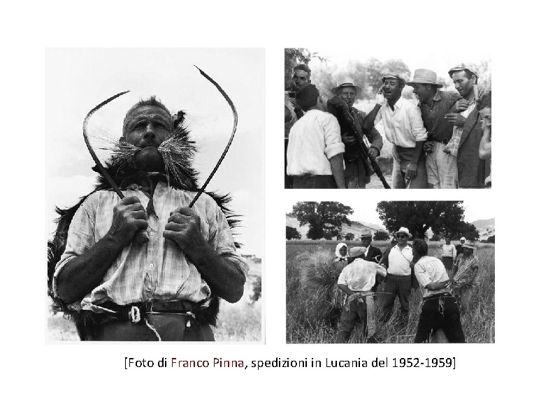 [Foto di Franco Pinna, spedizioni in Lucania del 1952 -1959] 