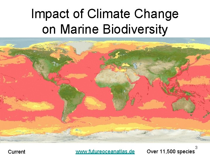 Impact of Climate Change on Marine Biodiversity Current www. futureoceanatlas. de Over 11, 500