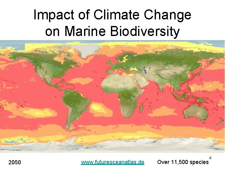 Impact of Climate Change on Marine Biodiversity 2050 www. futureoceanatlas. de Over 11, 500