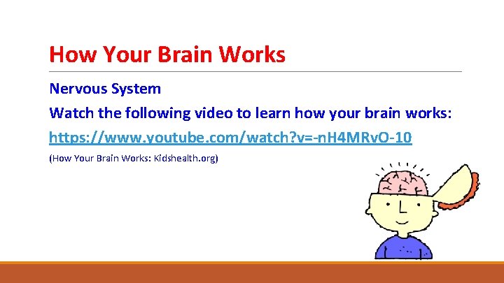 How Your Brain Works Nervous System Watch the following video to learn how your