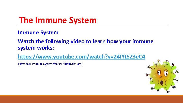 The Immune System Watch the following video to learn how your immune system works: