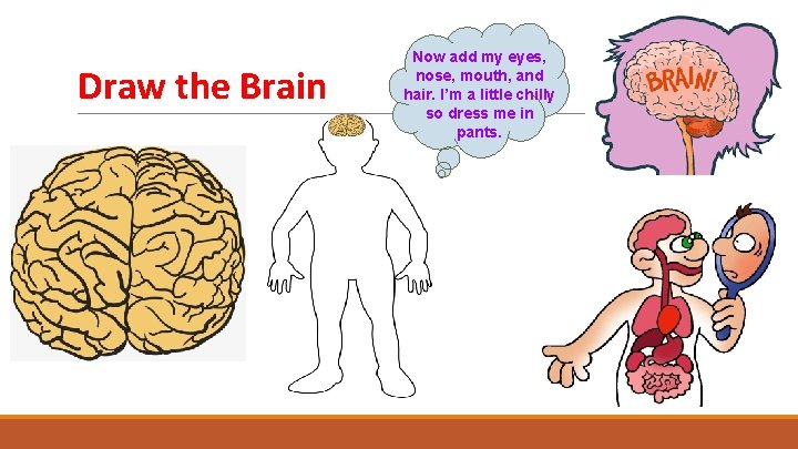 Draw the Brain Now add my eyes, nose, mouth, and hair. I’m a little