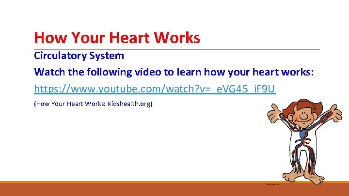 How Your Heart Works Circulatory System Watch the following video to learn how your