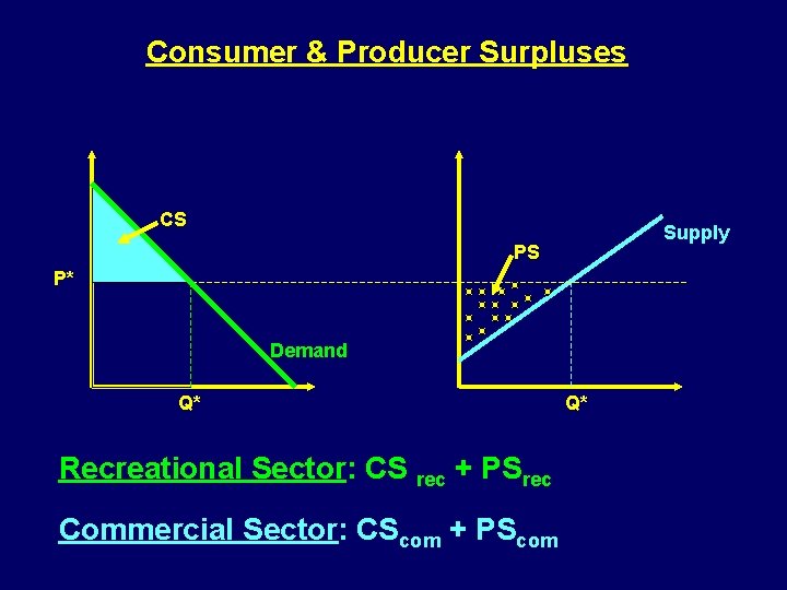 Consumer & Producer Surpluses CS Supply PS P* Demand Q* Recreational Sector: CS rec