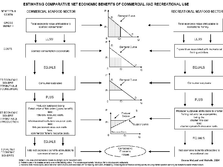 yyyy Source Mc. Leod and Nicholls, 2004 