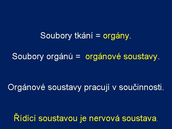 Soubory tkání = orgány. Soubory orgánů = orgánové soustavy. Orgánové soustavy pracují v součinnosti.