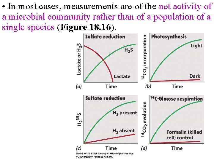  • In most cases, measurements are of the net activity of a microbial