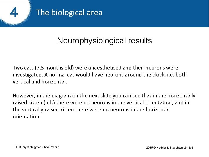 The biological area Neurophysiological results Two cats (7. 5 months old) were anaesthetised and