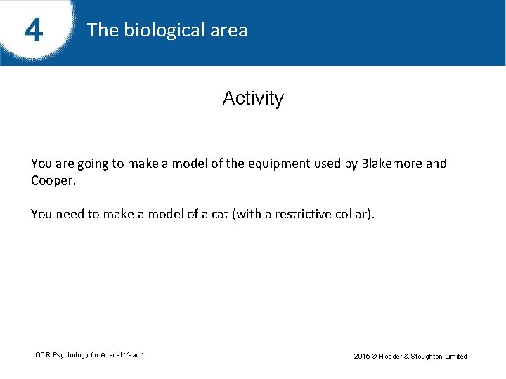 The biological area Activity You are going to make a model of the equipment