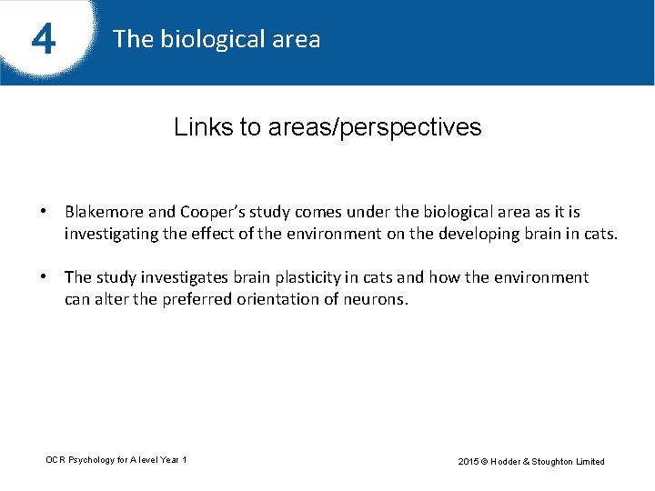 The biological area Links to areas/perspectives • Blakemore and Cooper’s study comes under the