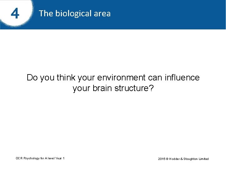 The biological area Do you think your environment can influence your brain structure? OCR