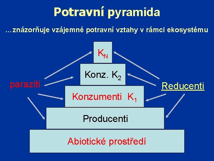Potravní pyramida … znázorňuje vzájemné potravní vztahy v rámci ekosystému KN paraziti Konz. K