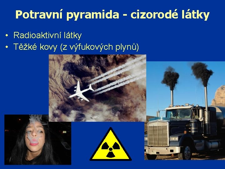 Potravní pyramida - cizorodé látky • Radioaktivní látky • Těžké kovy (z výfukových plynů)