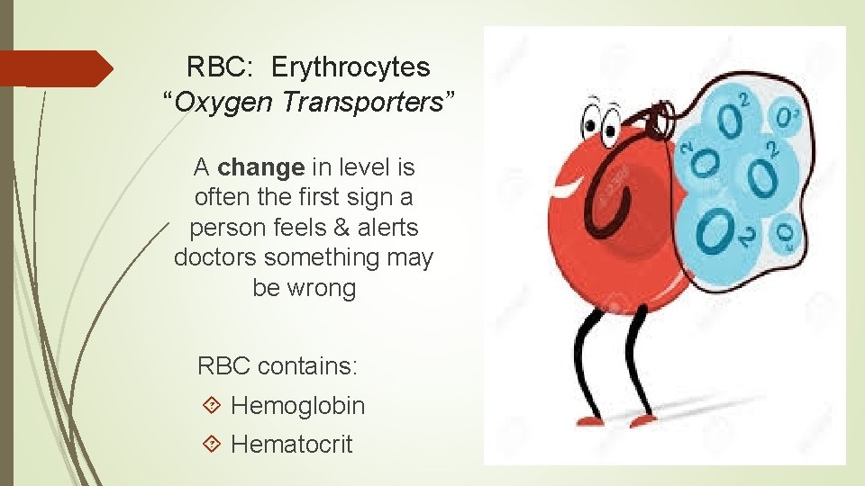 RBC: Erythrocytes “Oxygen Transporters” A change in level is often the first sign a