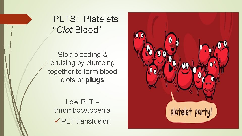 PLTS: Platelets “Clot Blood” Stop bleeding & bruising by clumping together to form blood