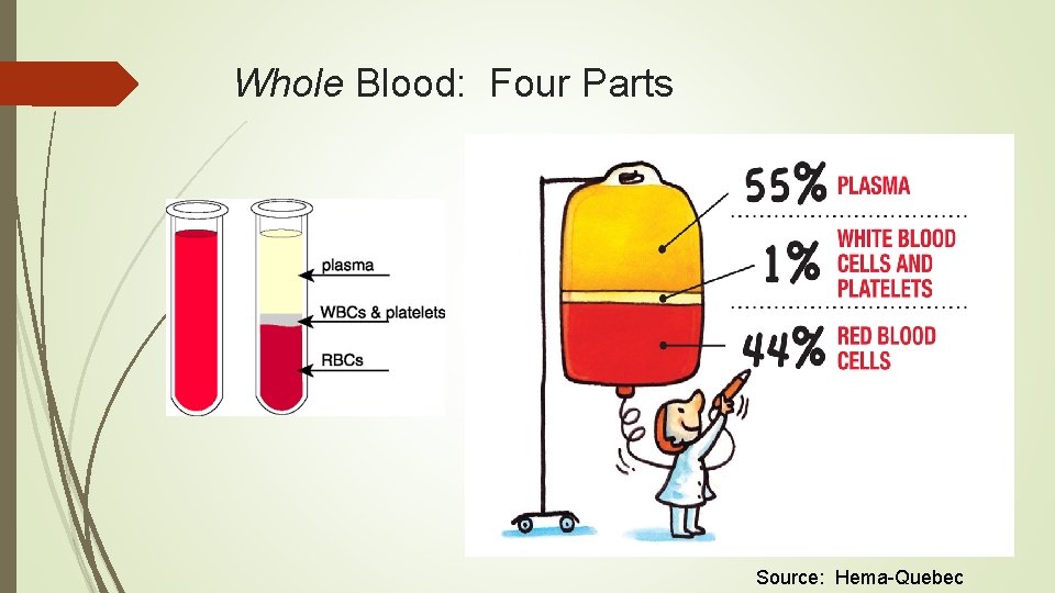 Whole Blood: Four Parts Source: Hema-Quebec 