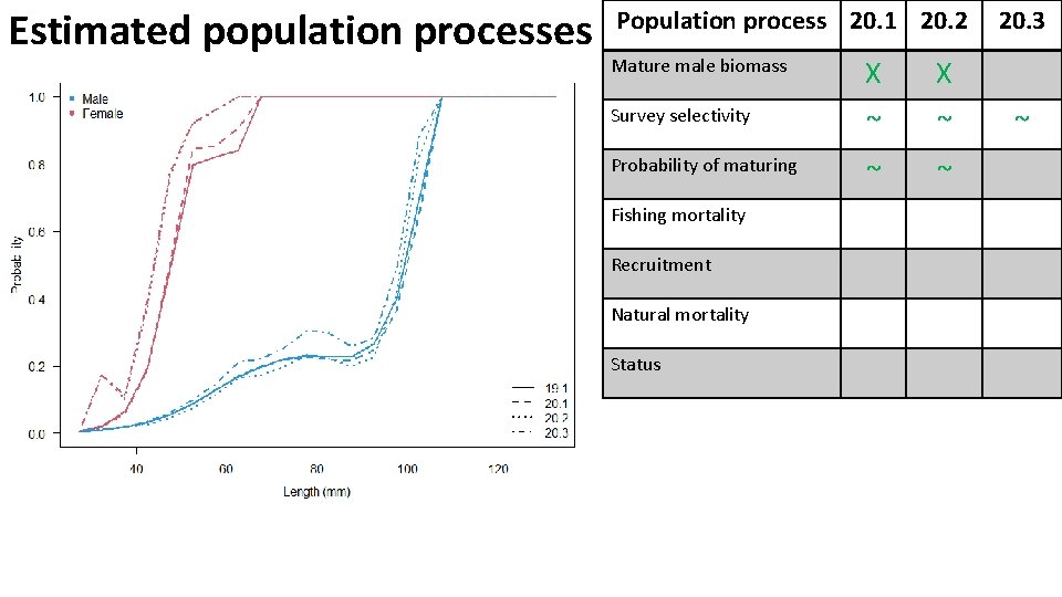 Estimated population processes Population process 20. 1 20. 2 Mature male biomass X X