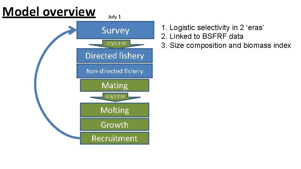 Model overview July 1 Survey 7. 5/12 M Directed fishery Non-directed fishery Mating 4.