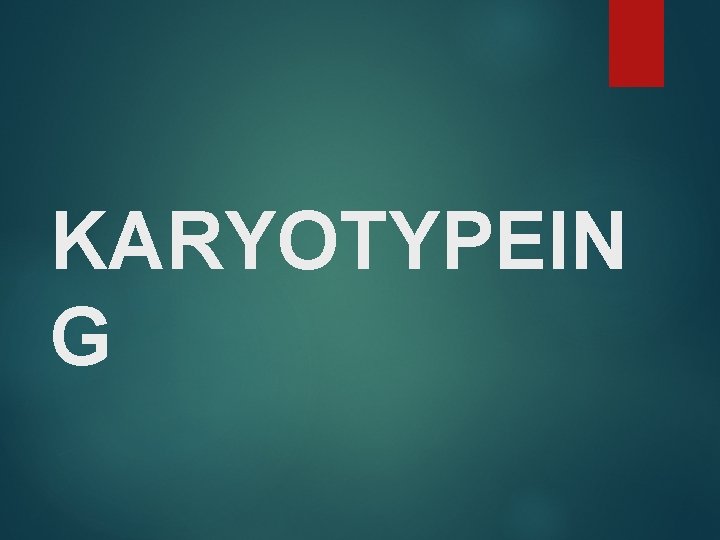 KARYOTYPEIN G 