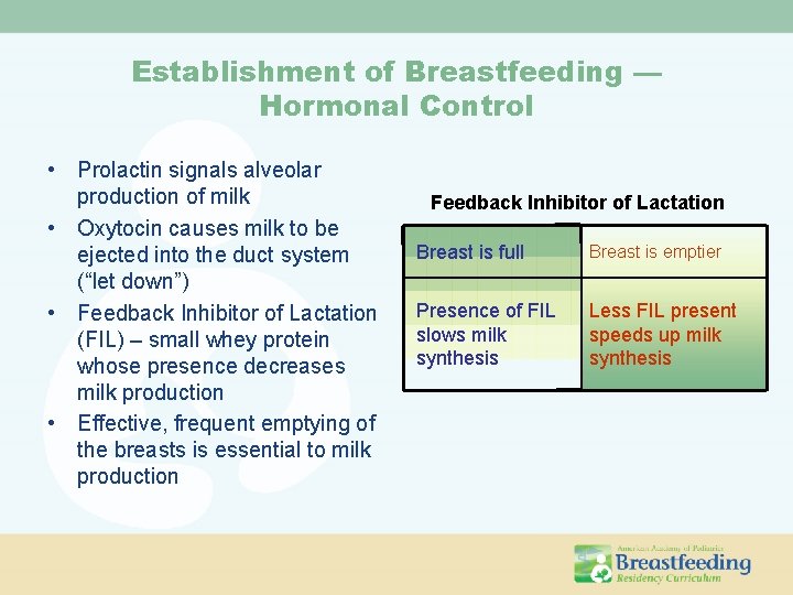 Establishment of Breastfeeding — Hormonal Control • Prolactin signals alveolar production of milk •
