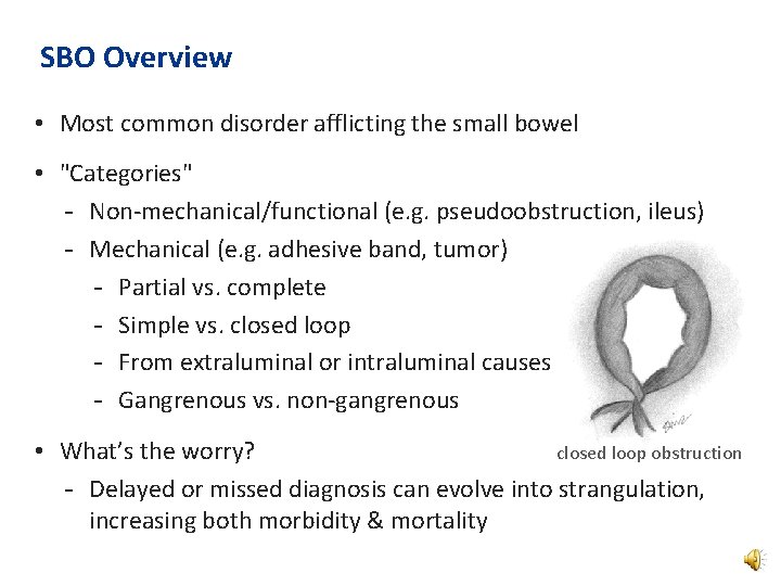 SBO Overview • Most common disorder afflicting the small bowel • "Categories" - Non-mechanical/functional