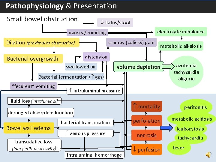  Pathophysiology & Presentation – Proximal Bowel Obstruction Small bowel obstruction flatus/stool electrolyte imbalance