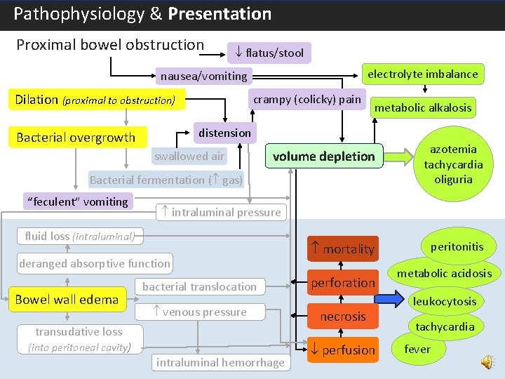  Pathophysiology & Presentation – Proximal Bowel Obstruction Proximal bowel obstruction flatus/stool electrolyte imbalance