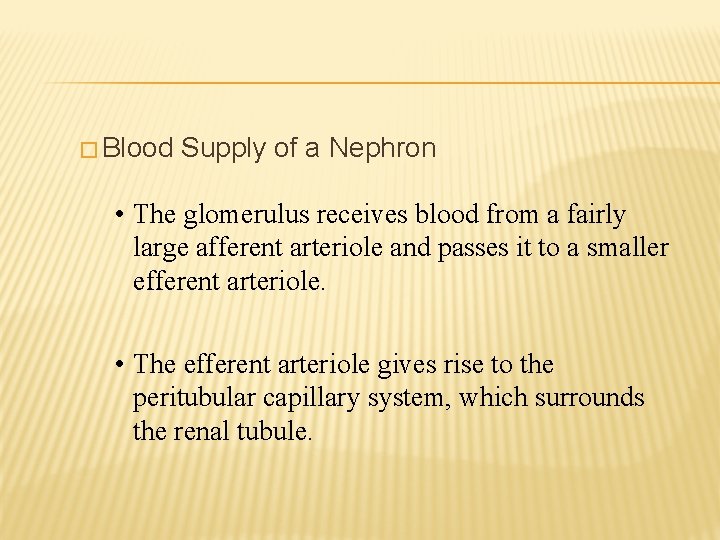 � Blood Supply of a Nephron • The glomerulus receives blood from a fairly