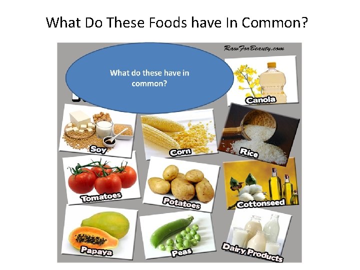 What Do These Foods have In Common? 