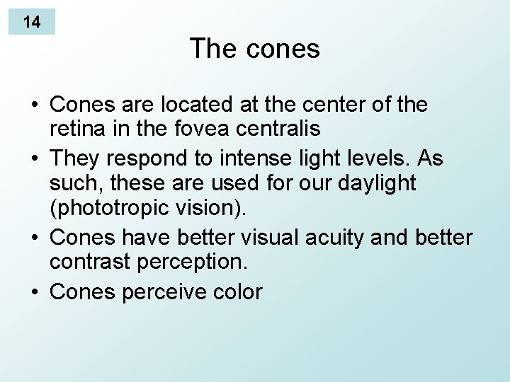 14 The cones • Cones are located at the center of the retina in