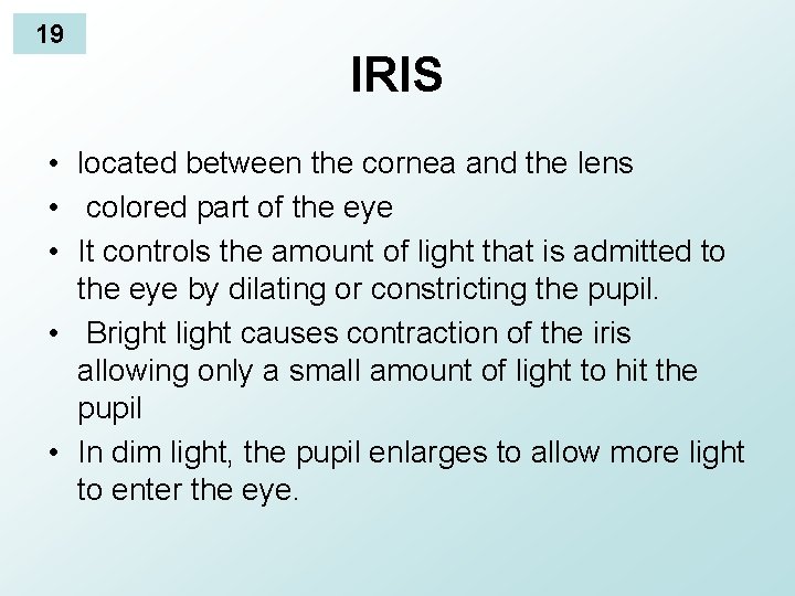 19 IRIS • located between the cornea and the lens • colored part of